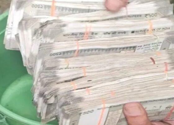 Janjgir-Champa Loot Case