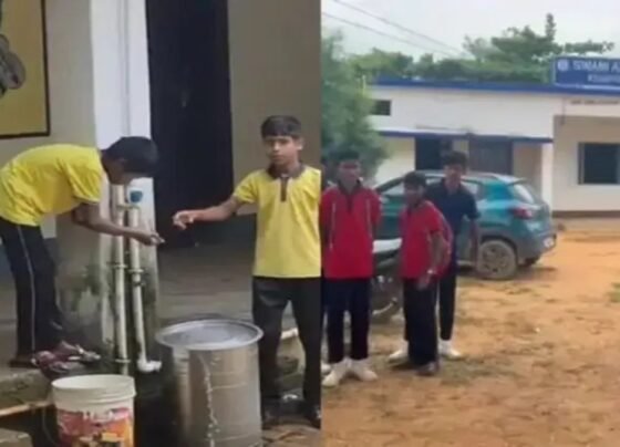 Jaundice in Balrampur