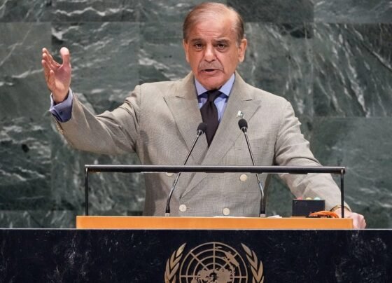 Pakistan Shehbaz Sharif in United Nation