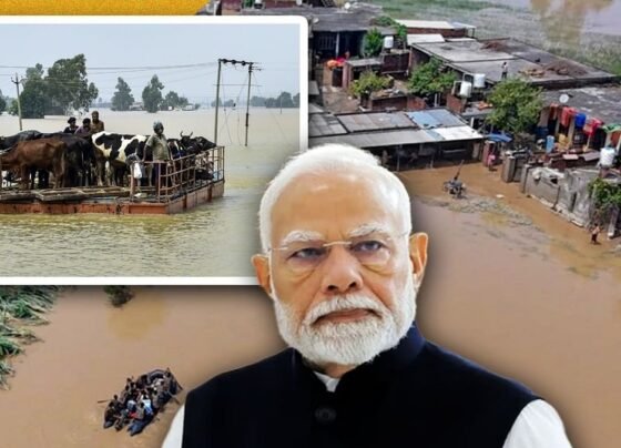 Punjab Floods