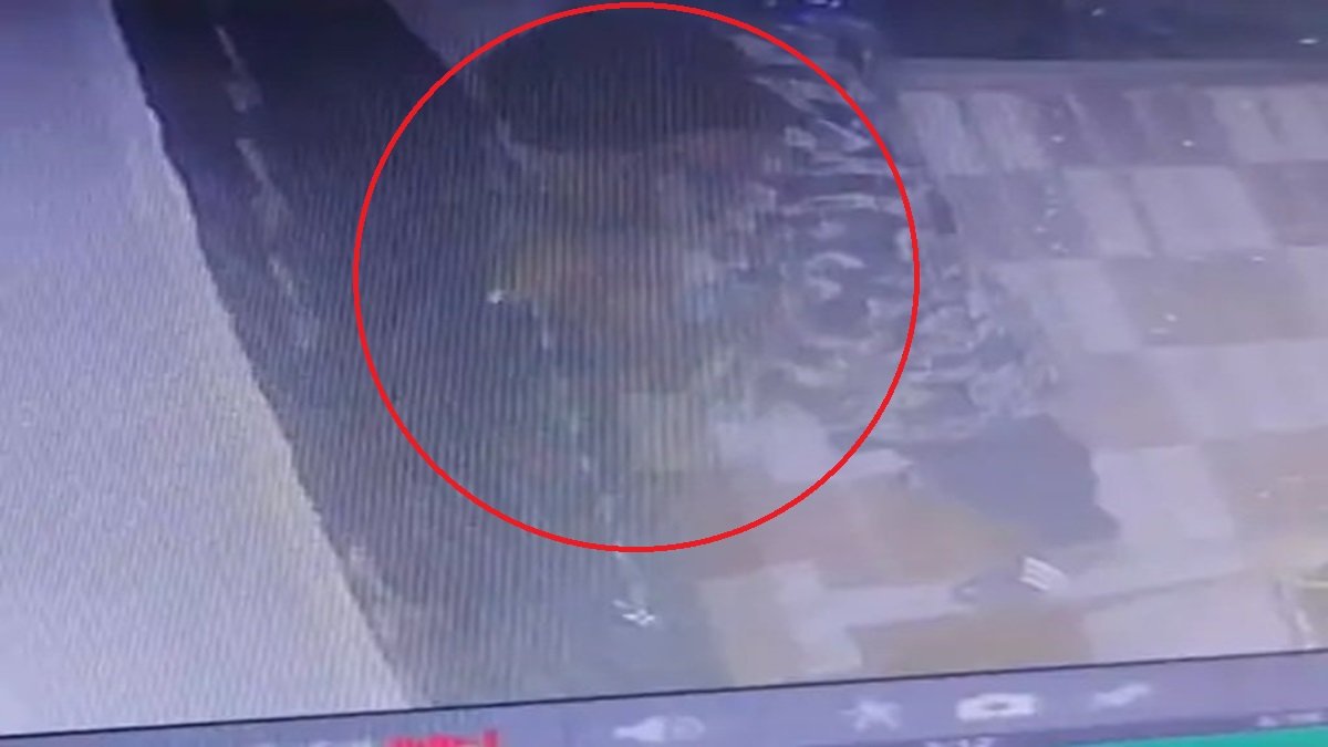 Raipur News : ताला तोड़कर घर में घुसा चोर, 3 मिनट में 7 लाख कैश-गोल्ड साफ, CCTV में कैद घटना