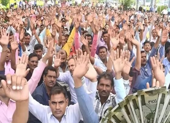 Samvida Karmchari Latest News
