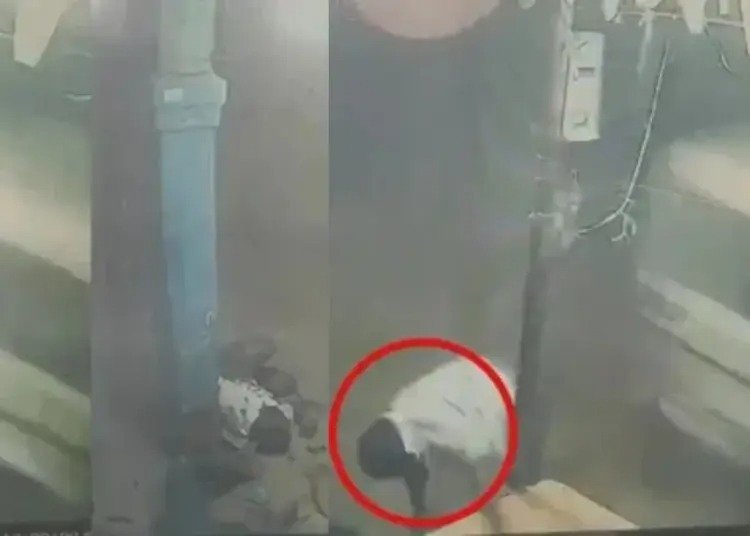 सूरजपुर में बोलेरो चढ़ाकर पिता और बेटे की हत्या, थाना प्रभारी लाइन अटैच, पीड़ित पक्ष की सुरक्षा मांग को किया था नजर अंदाज