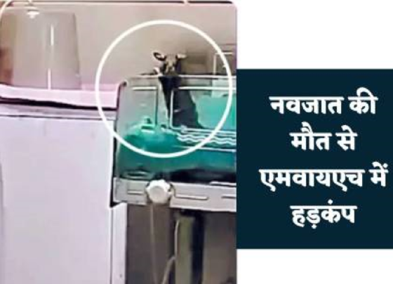 MY Hospital News