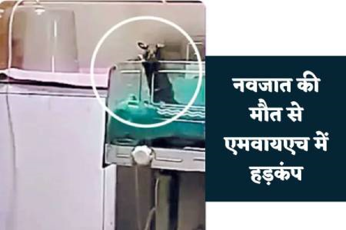 MY Hospital News: अस्पताल की लापरवाही का खामियाजा, दो नवजात शिशु को चूहों ने कुतरा…