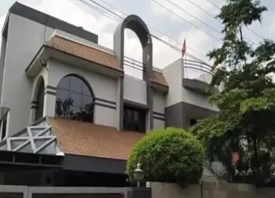 ed raids chhattisgarh