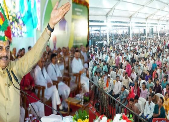 MP Latest News