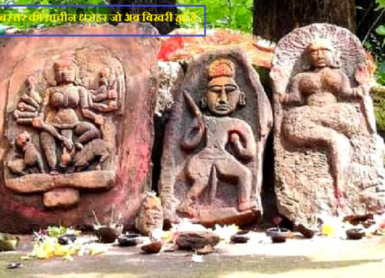 Chhattisgarh News: