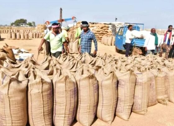 CG Dhan Kharidi News
