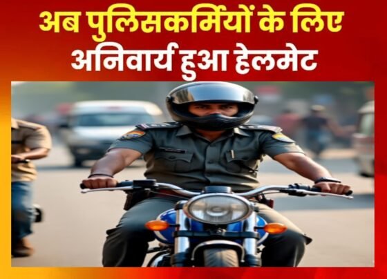 MP News