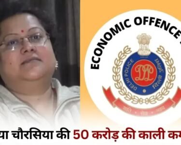 Soumya Chaurasia Income Case