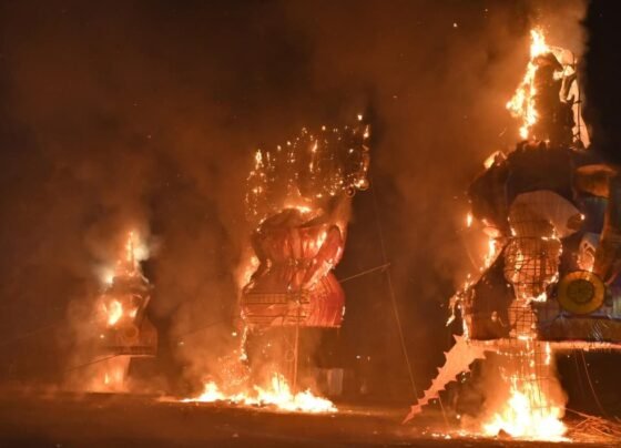 WRS Colony Dussehra 2025