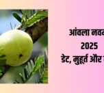 Amla Navami 2025