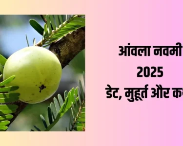 Amla Navami 2025
