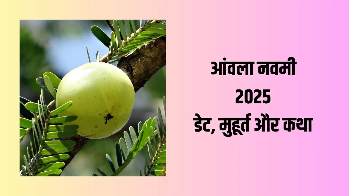 Amla Navami 2025: कब मनाई जाएगी आंवला नवमी? जान लें सही डेट, शुभ मुहूर्त और व्रत कथा