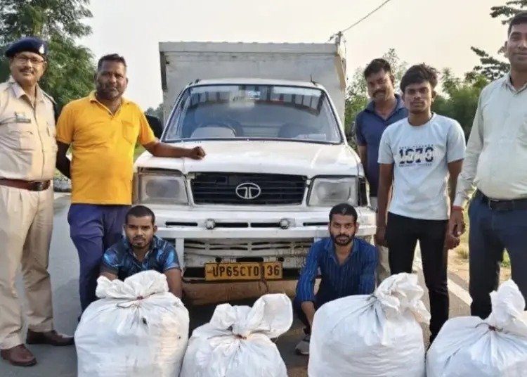 महासमुंद में अंतरराज्यीय गांजा तस्करी पर बड़ी कार्रवाई, 22 लाख रुपये का गांजा जब्त, पुलिस ने दो तस्करों को किया गिरफ्तार