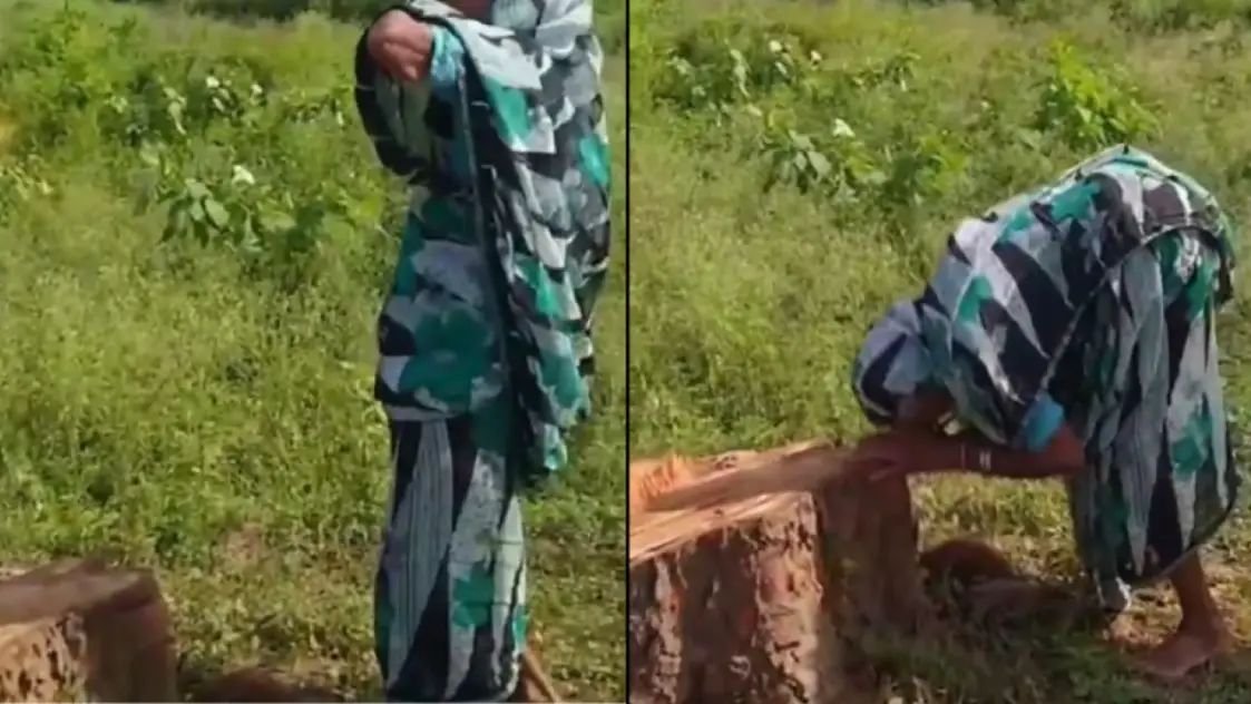 ’20 साल से बेटे की तरह की सेवा लेकिन….’, पीपल के पेड़ के कट जाने पर फूट-फूटकर रो पड़ीं बुजुर्ग महिला, देखें VIDEO
