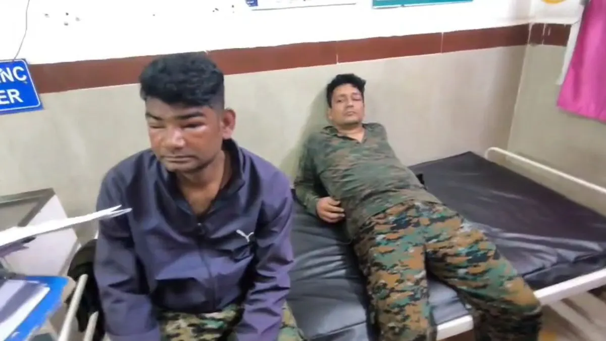 MP News: जवानों पर मधुमक्खियों ने किया हमला, 20 जवान चपेट में, 4 अस्पताल में भर्ती