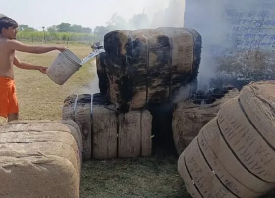 CG Dhan Kharidi Fire