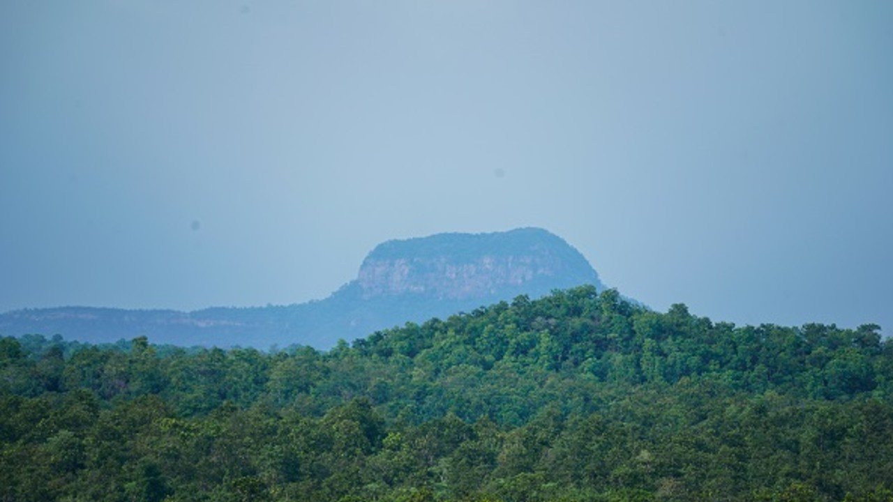 CG News: हसदेव के पेड़ों पर चलेगी अडानी की आरी, छत्तीसगढ़ सरकार ने दी कोल परियोजना की मंजूरी, तहस-नहस हो जाएगा जंगल