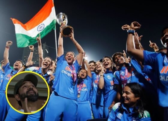 INDW vs SAW Final 2025