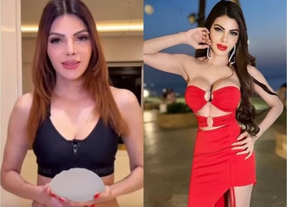 Sherlyn Chopra Latest News