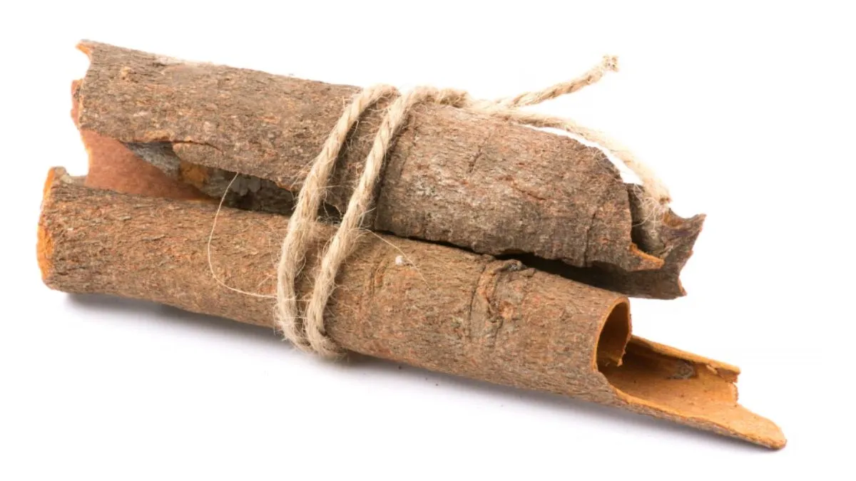 इन बीमारियों से छुटकारा पाने के लिए लाभदायक है अर्जुन की छाल, जानें इसके 5 फायदे