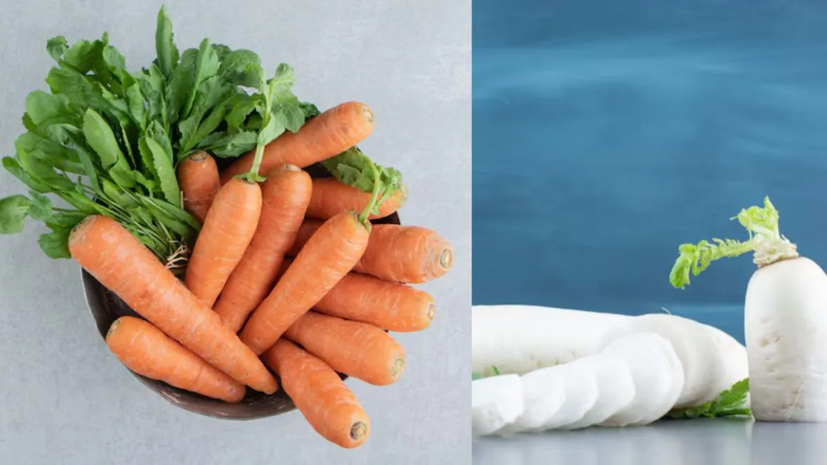 गाजर या मूली.. सेहत के लिए क्या है ज्यादा फायदेमंद, जानें यहां