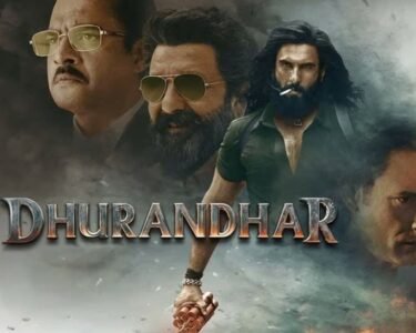 Dhurandhar Box Office Collection