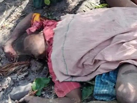 रायगढ़ में हाथी के हमले से ग्रामीण की मौत, मवेशी लेने जंगल गया था, गांव में कराई गई थी मुनादी