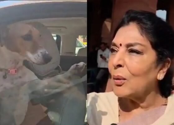 MP Renuka Chowdhary News