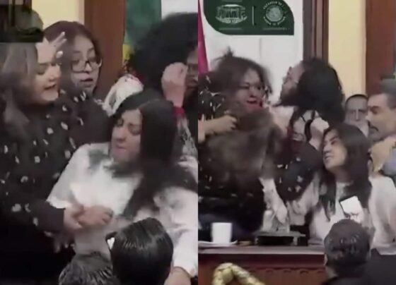 Mexico City Assembly Fight VIDEO