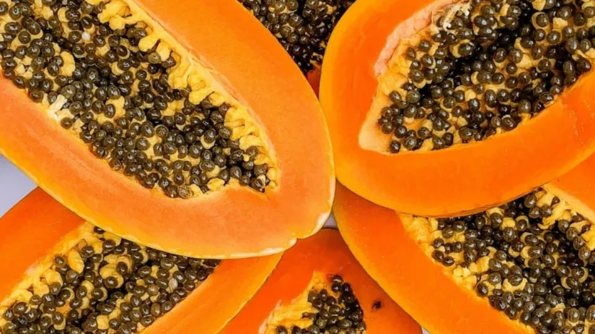पपीते के बीज के फायदे कर सकते हैं आपको हैरान, जानें क्या है सेवन का सही तरीका