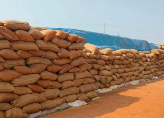 Bemetara Dhan Kharidi Scam