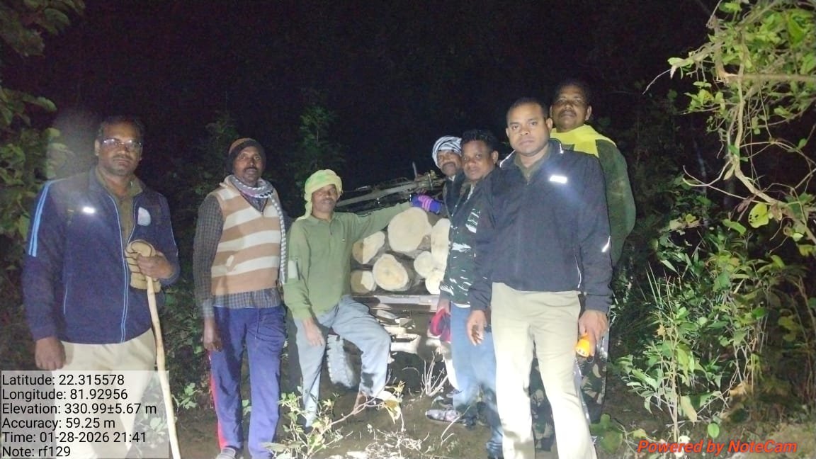 रात को जंगल में वन अमले की दबिश, सागौन लट्ठे छोड़कर भागे तस्कर, चार साइकिल जब्त