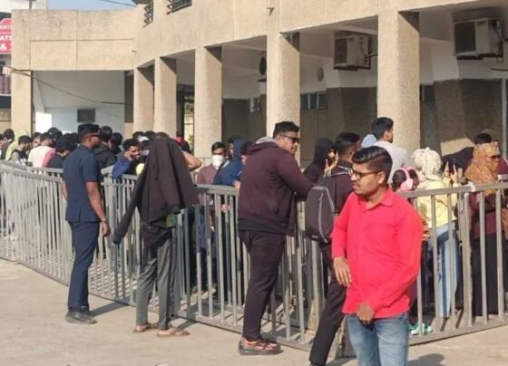 India Vs New Zealand T20