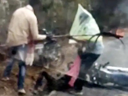 Raigarh Bee Attack News