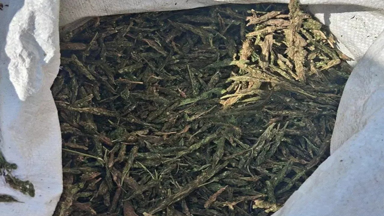 ओडिशा से महाराष्ट्र जा रही थी गांजा की खेप, छत्तीसगढ़ में एंबुलेंस से 2.60 करोड़ का गांजा जब्त