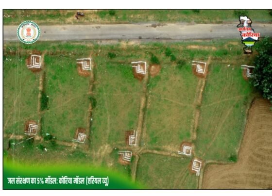 5 Percent Model Implementation