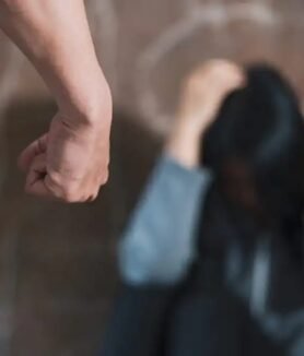 Bilaspur Domestic Violence News