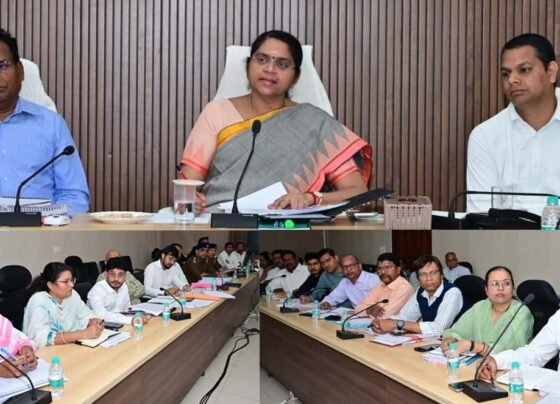 Chhattisgarh Excise Department Action