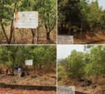 NMDC Plantation Agreement