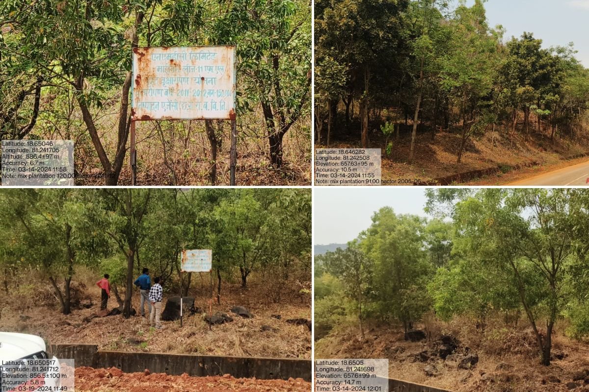 वन विकास निगम–एनएमडीसी के बीच 50 हजार पौधारोपण का अनुबंध, हरियाली और रोजगार को मिलेगा बढ़ावा