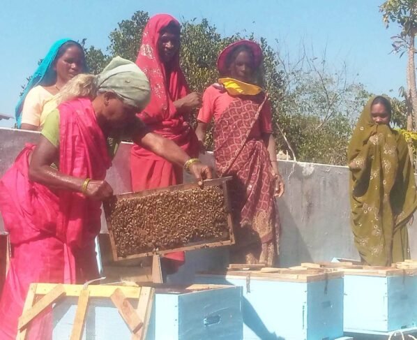 PM Dhan Dhanya Krishi Yojana