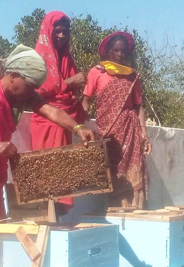 PM Dhan Dhanya Krishi Yojana