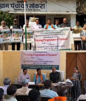 RKVY Flower Farming Training Patan