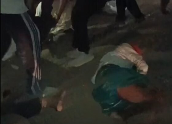 Raigarh Road Accident News