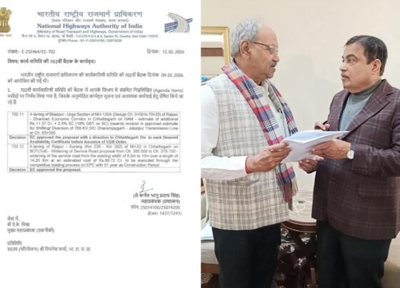 Raipur Traffic Relief Project