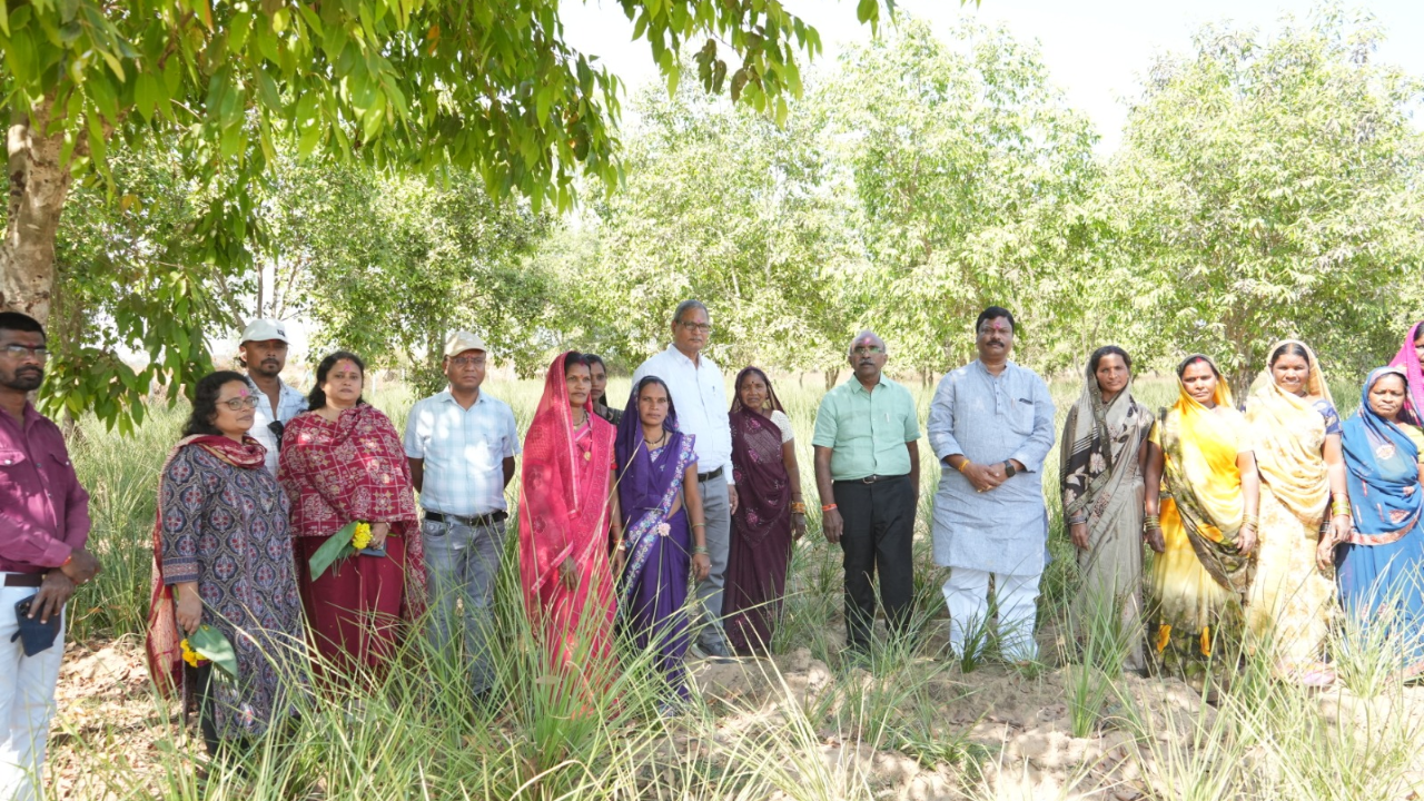 CG News: छत्तीसगढ़ को ‘हर्बल ग्रोथ इंजन’ बनाने मिशन मोड में काम, विकास मरकाम ने धमतरी में योजनाओं का किया निरीक्षण