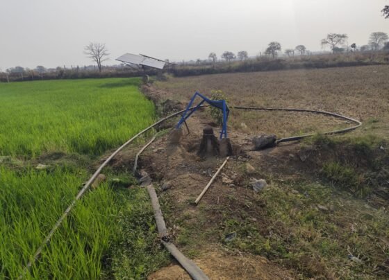 Amleshwar Theft News